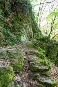 Abenteuerlicher Weg mit Steinstufen in der Ehrbachschlucht Abenteuerlicher Weg mit Steinstufen in der Ehrbachschlucht